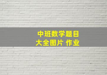 中班数学题目大全图片 作业